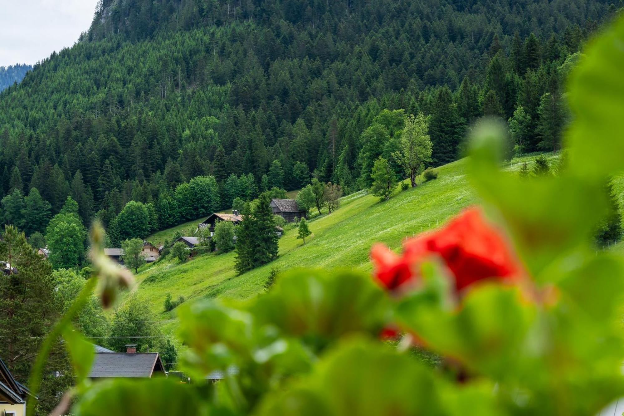 Haus Friedrich Hotell Gosau Exteriör bild